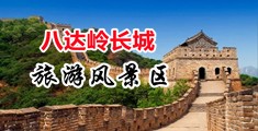 日本一本a免费不卡91下载中国北京-八达岭长城旅游风景区