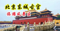 男性鸡巴天堂中国北京-东城古宫旅游风景区